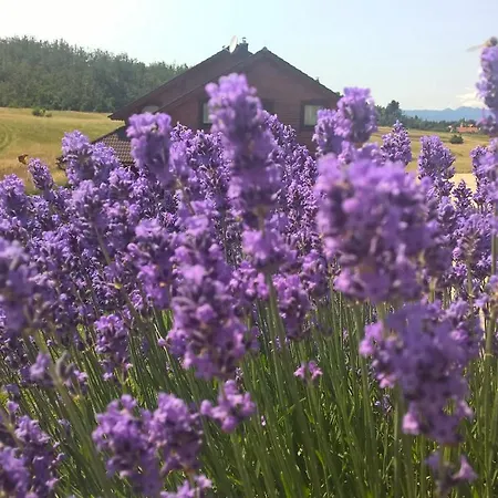 Boutique Japodi Mrkopalj