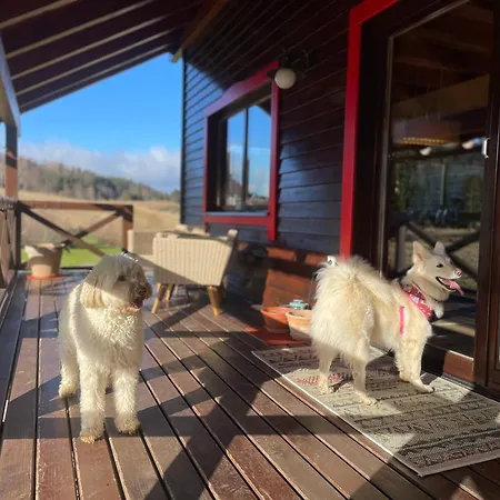 Boutique Japodi Pensiune Mrkopalj