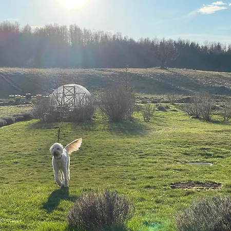 Boutique Japodi Mrkopalj